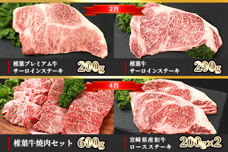 定期便6回・偶数月】総重量6.3kg！【3種の牛肉】椎葉牛・椎葉