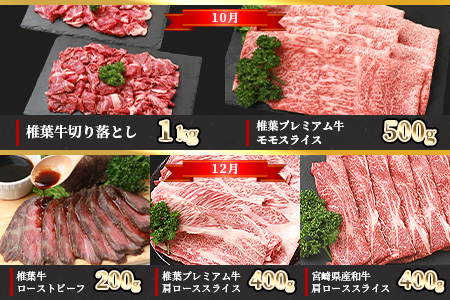 定期便6回・偶数月】総重量6.3kg！【3種の牛肉】椎葉牛・椎葉