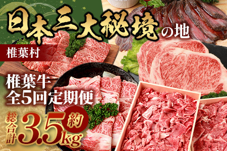 【定期便5回】総重量3.5kg！椎葉牛オールスター定期便≪ローストビーフ・切り落とし・焼き肉・スライス・ステーキ≫ 牛肉 定期便 A5等級指定 黒毛和牛 TK-62