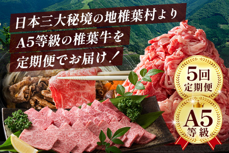 【定期便5回】総重量3.5kg！椎葉牛オールスター定期便≪ローストビーフ・切り落とし・焼き肉・スライス・ステーキ≫ 牛肉 定期便 A5等級指定 黒毛和牛 TK-62