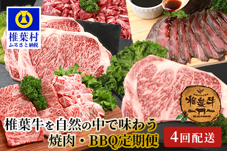 【定期便4回】総重量2.4kg！椎葉牛 大自然の中で味わう焼肉・BBQ定期便≪焼き肉・ステーキ・切り落とし・ローストビーフ≫ 牛肉 定期便 黒毛和牛 TK-63