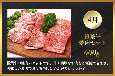 【定期便4回】総重量2.4kg！椎葉牛 大自然の中で味わう焼肉・BBQ定期便≪焼き肉・ステーキ・切り落とし・ローストビーフ≫ 牛肉 定期便 黒毛和牛 TK-63
