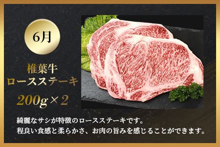 【定期便4回】総重量2.4kg！椎葉牛 大自然の中で味わう焼肉・BBQ定期便≪焼き肉・ステーキ・切り落とし・ローストビーフ≫ 牛肉 定期便 黒毛和牛 TK-63
