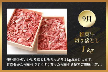 【定期便4回】総重量2.4kg！椎葉牛 大自然の中で味わう焼肉・BBQ定期便≪焼き肉・ステーキ・切り落とし・ローストビーフ≫ 牛肉 定期便 黒毛和牛 TK-63