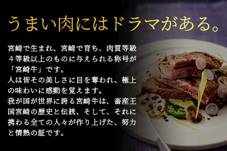 受賞歴多数!! 宮崎牛 モモ焼肉「400g」＆宮崎県産黒毛和牛小間切れ「100g」【合計500g】