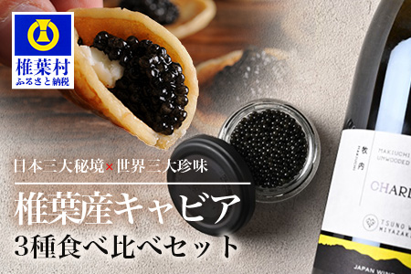 【世界三大珍味×日本三大秘境】HEIKE CAVIAR 3種食べ比べセット20g×3【産地直送】【簡易包装】［宮崎 椎葉 国産 きゃびあ キャビア ワイン ワインキャビア 金柑 金柑キャビア 魚卵 卵 世界三大珍味 加工品 冷凍 高級 高級品 贅沢 お取り寄せ お取り寄せグルメ  ディナー パーティー おつまみ グルメ ギフト 誕生日 プレゼント お祝い 贈り物 桐箱 希少］【SZ-131】