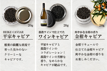 【世界三大珍味×日本三大秘境】HEIKE CAVIAR 3種食べ比べセット20g×3【産地直送】【簡易包装】［宮崎 椎葉 国産 きゃびあ キャビア ワイン ワインキャビア 金柑 金柑キャビア 魚卵 卵 世界三大珍味 加工品 冷凍 高級 高級品 贅沢 お取り寄せ お取り寄せグルメ  ディナー パーティー おつまみ グルメ ギフト 誕生日 プレゼント お祝い 贈り物 桐箱 希少］【SZ-131】