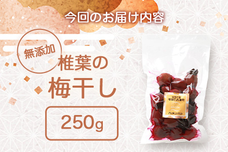 【秘境の里 椎葉のお漬物】椎葉の梅干し 250g【昔ながらの椎葉のすっぱい梅干し】