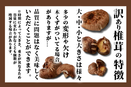 【訳あり】【徳用】秘境・椎葉村産 原木 乾しいたけ 300g【森林率96％の村の宝】