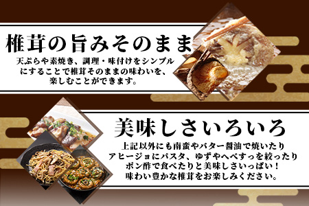 【訳あり】【徳用】秘境・椎葉村産 原木 乾しいたけ 600g（300g×2袋）宮崎県産 国産 原木椎茸 椎茸 しいたけ 乾しいたけ 干し椎茸 原木栽培 産地直送 JA-33