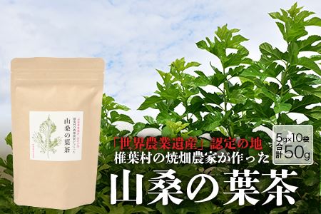 【世界農業遺産の産物】焼畑農家がつくった山桑の葉茶 ティーバック【桑茶】