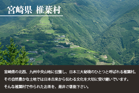 【世界農業遺産の産物】焼畑農家がつくった山桑の葉茶 スティックタイプ 10本入り×3袋【桑茶】