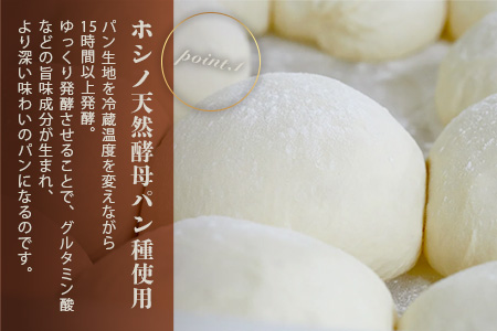 《3ヶ月定期便》【秘境・椎葉村の愛されパン屋さん】天然酵母パン 詰め合わせ 7種10個セット パン 定期便 天然酵母 詰め合せ セット メロンパン あん塩 バターロール おさつ ブレッド デニッシュ ミニ食パン レーズン バターロール NF-27