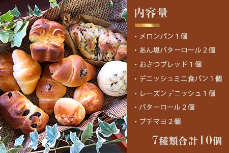 《3ヶ月定期便》【秘境・椎葉村の愛されパン屋さん】天然酵母パン 詰め合わせ 7種10個セット パン 定期便 天然酵母 詰め合せ セット メロンパン あん塩 バターロール おさつ ブレッド デニッシュ ミニ食パン レーズン バターロール NF-27