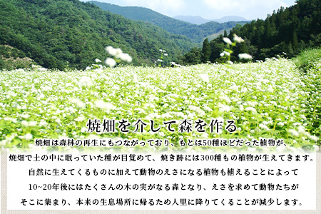 焼畑農家がつくった あわもち 10個【日本三大秘境の地「椎葉村」からお届け】あわ 粟 アワ 雑穀 YS-47