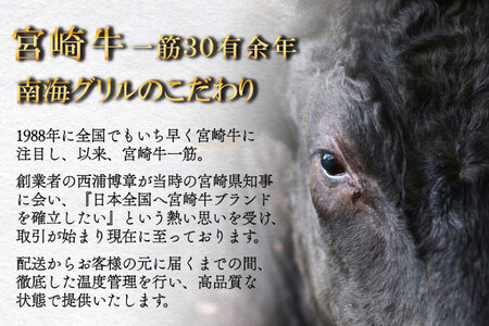 宮崎牛 A4 赤身 ステーキ 150g×3枚 特製ステーキソース シーズニング付 [南海グリル 宮崎県 美郷町 31bg0016]