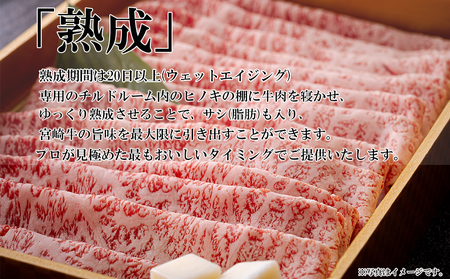宮崎牛 A4 ロース 赤身 スライス セット 各250g 計500g しゃぶしゃぶのタレ付き ギフト箱入り [南海グリル 宮崎県 美郷町 31bg0010]