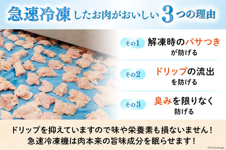 鶏肉 若鶏 もも 切身 小分け 250g×8p 計 2kg [九州児湯フーズ 宮崎県 美郷町 31aj0066]