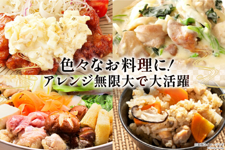 鶏肉 12回 定期便 もも肉 若鶏もも肉 切身 500g ×6p 総計 36kg [九州児湯フーズ 宮崎県 美郷町 31ai0027]