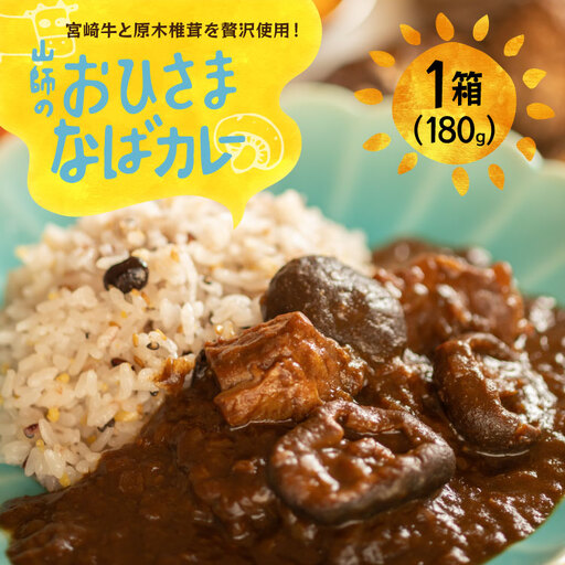 カレー レトルト 山師のおひさま なばカレー 宮崎牛 原木椎茸 使用 180g [HUTTE 宮崎県 美郷町 31ao0025]