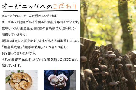 【有機JAS認証】 しいたけ 乾燥 極上 原木 干し 椎茸 どんこプレミアム 30g [HUTTE 宮崎県 美郷町 31ao0023]