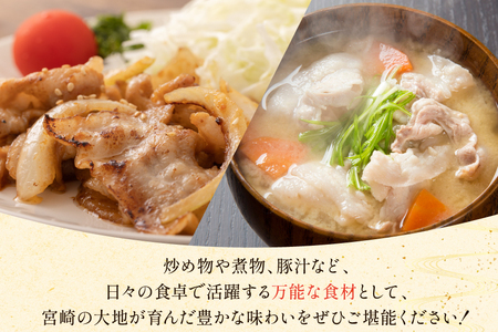 豚肉 宮崎県産 豚 小間切れ 200g 5P 計1kg [マルミヤストア 宮崎県 美郷町 31ag0144]