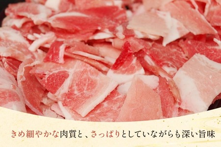 豚肉 小分け 宮崎県産 豚 小間切れ 200g 15P 計 3kg [マルミヤストア 宮崎県 美郷町 31ag0156]