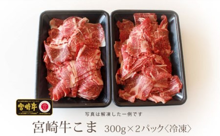 【宮崎牛】こま肉 300g×2パック 計600g [SHINGAKI 宮崎県 美郷町 31ag0060] 牛肉 小間 冷凍 内閣総理大臣賞受賞 宮崎県産 九州産 送料無料 肉じゃが 牛丼 野菜炒め 小分け