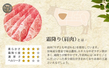宮崎牛霜降りスライス500g 牛肉 和牛 牛肉 国産 牛肉 黒毛和牛 牛肉 ブランド 牛肉 A4 A5 牛肉
