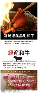 宮崎県産 黒毛和牛 こま 牛肉 1kg (500g×2パック) 牛肉 小間 冷凍 九州産 牛肉 送料無料 肉じゃが 牛肉 牛丼 野菜炒め 普段使い 牛肉