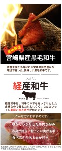 宮崎県産 黒毛和牛 赤身 焼肉 500g ( トレイ包装 ) 牛肉 牛肉 ウデ モモ 焼肉 牛肉 冷凍 九州産 牛肉 送料無料 牛肉 BBQ バーベキュー 牛肉