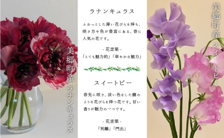 【期間限定発送】 生花 美郷の フラワー ボックス (小)  [花のたかはし 宮崎県 美郷町 31aq0003] ラナンキュラス スイートピー 花 ギフト 贈り物 プレゼント 誕生日 卒業祝い 入学祝い 結婚祝い 結婚記念日 送別 昇進祝い 退職祝い 新居祝い