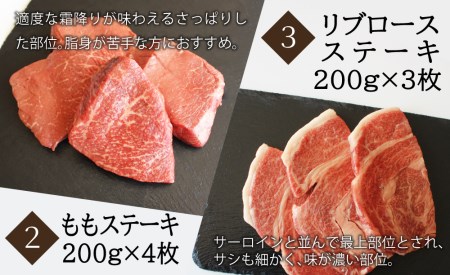 3回 定期便 宮崎牛 ステーキ 3ヶ月 コース 合計 2kg [SHINGAKI 宮崎県 美郷町 31ag0084] 牛肉 宮崎牛 サーロイン もも リブロースステーキ 黒毛 和牛 国産 宮崎 A4 A5等級 牛 宮崎県産 冷凍 送料無料 ブランド 牛 肉 霜降り BBQ バーベキュー キャンプ ギフト プレゼント