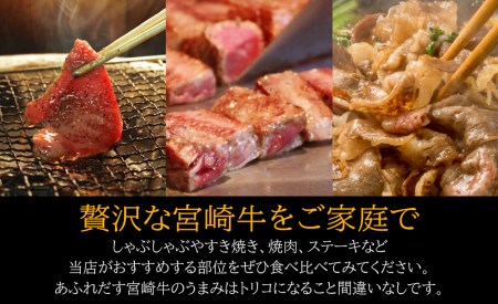 9回 定期便 宮崎牛 食べ比べ 贅の極み 9ヶ月 コース 合計 5.48kg [マルミヤストア 宮崎県 美郷町 31ag0134]