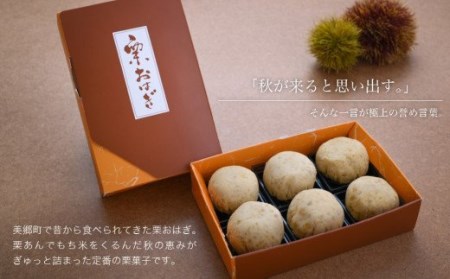 和菓子 栗おはぎ 6個入 × 2箱 [栗きんとん はな恵 宮崎県 美郷町 31am0004]