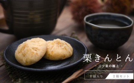 【期間限定受付】和菓子 栗きんとん 6個入 × 2箱 [栗きんとん はな恵 宮崎県 美郷町 31am0005] 菓子 お菓子 栗 和栗 国産 スイーツ 冷凍