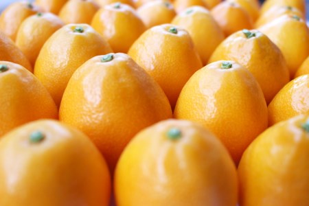 完熟 きんかん 甘露煮 170g×10袋 セット [農林産物直売所 美郷ノ蔵 宮崎県 美郷町 31ab0081]