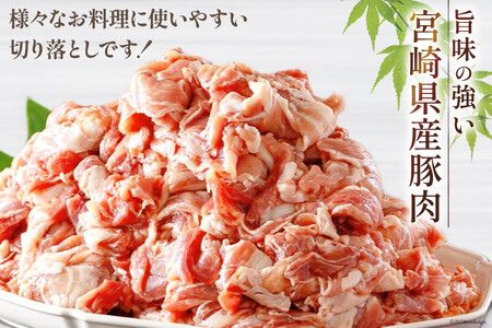 豚肉 小分け 切り落とし 300g×18袋 合計5.4kg [甲斐精肉店 宮崎県 美郷町 31as0125]