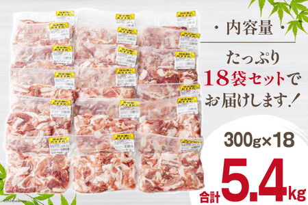 豚肉 小分け 切り落とし 300g×18袋 合計5.4kg [甲斐精肉店 宮崎県 美郷町 31as0125]