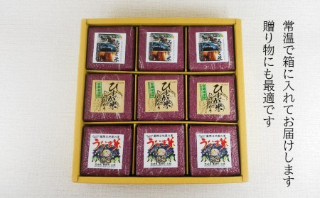 米 キューブ ひのひかり 3種 みさと米 ひむか米 うなま米 300g×9個 計2.7kg [宮崎県農業協同組合 八菜館ひゅうが店 宮崎県 美郷町 31ap0011]