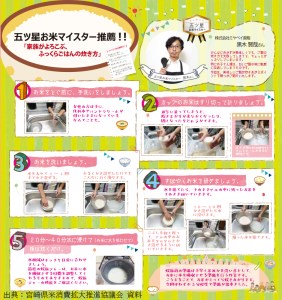 米 キューブ ひのひかり 3種 みさと米 ひむか米 うなま米 300g×3個 計900g [宮崎県農業協同組合 八菜館ひゅうが店 宮崎県 美郷町 31ap0009]