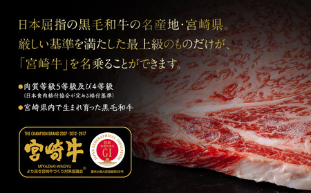 宮崎牛 肩 カタ 焼肉 400g [日本ハムマーケティング 宮崎県 美郷町 31bd0016]