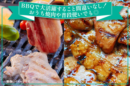 宮崎県産 豚バラ 肩ロース 焼肉 食べ比べ各300g×3 計1.8kg [甲斐精肉店 宮崎県 美郷町 31as0110]