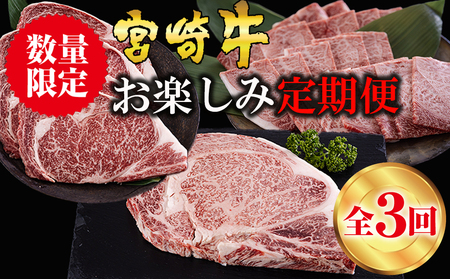 3回 定期便 宮崎牛 ロースステーキ 600g 肩焼肉 400g ワンポンドステーキ 454g [日本ハムマーケティング 宮崎県 美郷町 31bd0023] 冷凍 送料無料 国産 黒毛和牛 A5 A4等級 ブランド 牛 肉 霜降り バーベキュー キャンプ BBQ 宮崎県産 母の日 父の日 プレゼント ギフト 贈り物 3ヶ月 セット