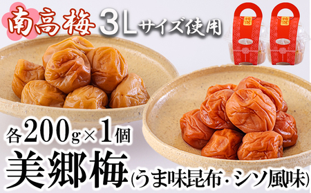 梅 南高梅 美郷梅使用 梅干し 昆布 シソ 風味 セット 3L サイズ 200g ×2 [農林産物直売所 美郷ノ蔵 宮崎県 美郷町 31ab0111]