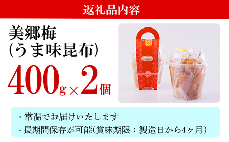 南高梅 梅干し 美郷梅 昆布 400g×2個 3Lサイズ 塩分控えめ A級品 [農林産物直売所 美郷ノ蔵 宮崎県 美郷町 31ab0112]