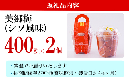 南高梅 梅干し 美郷梅 シソ風味 400g×2 3Lサイズ 塩分控えめ A級品 [農林産物直売所 美郷ノ蔵 宮崎県 美郷町 31ab0113] 国産 宮崎県産 美郷産 常温 送料無料 贈答品 父の日 母の日 プレゼント ギフト 贈り物 おやつ お菓子 調理 おかず 料理 普段使い