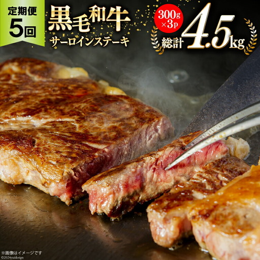 5回 定期便 宮崎県産 黒毛和牛 サーロイン ステーキ 300g ×3×5ヶ月 合計4.5kg [サンアグリフーズ 宮崎県 美郷町 31ba0034]