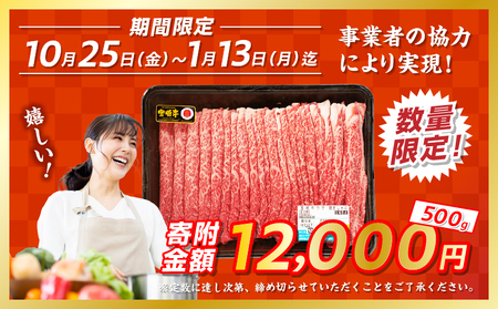 【期間・数量限定】宮崎牛赤身（ウデ）焼きしゃぶ500g_Tk031-015-D