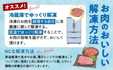 【期間・数量限定】宮崎牛赤身（ウデ）焼きしゃぶ500g_Tk031-015-D